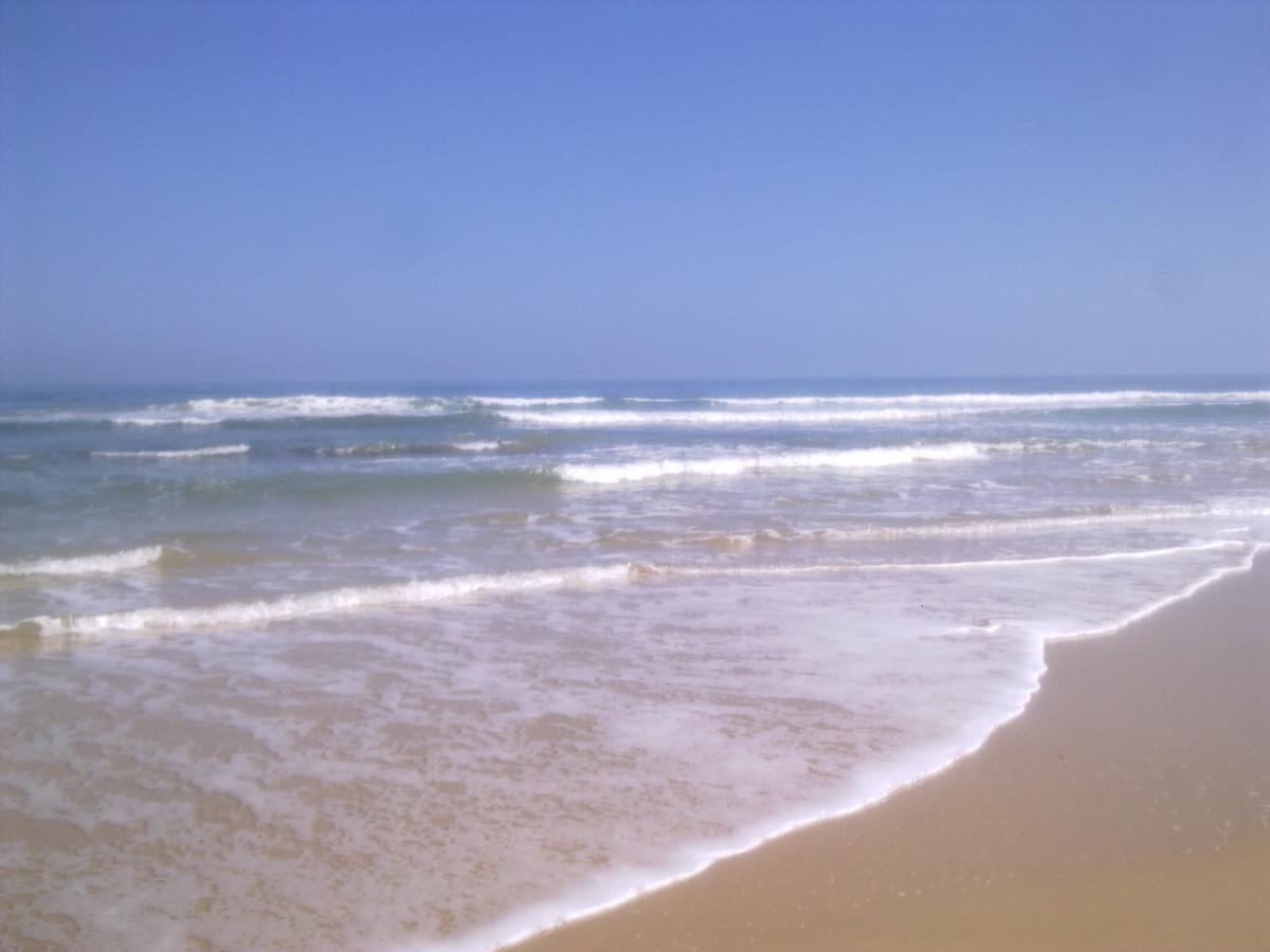 Villa Vista Cottage. Port Alfred Dış mekan fotoğraf
